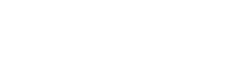StrategyWiz logo